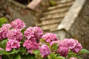 relais corte rodeschi