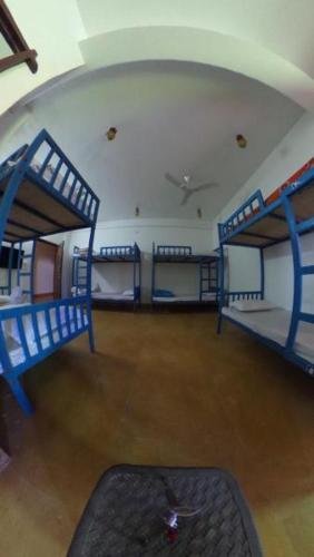 mariyan safari jaisalmer