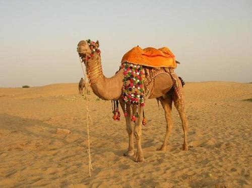 jaisalmer
