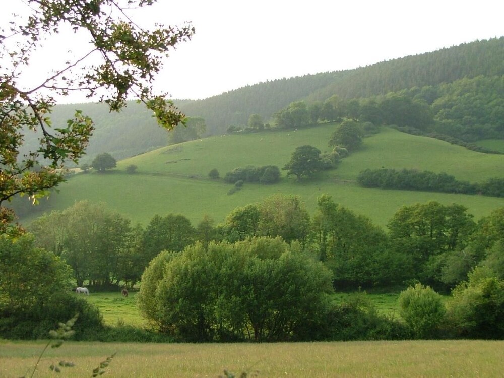 bridgwater