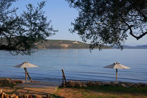 100 rizes seaside resort