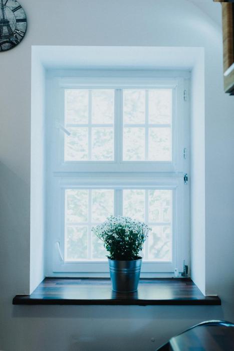 elite apartments heart of the old town