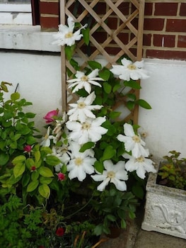 le domaine de regnonval