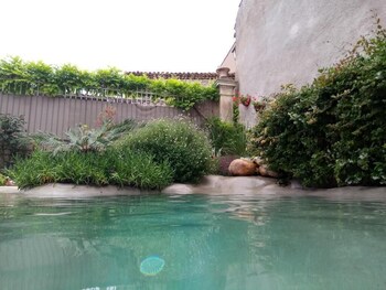 le patio des senteurs