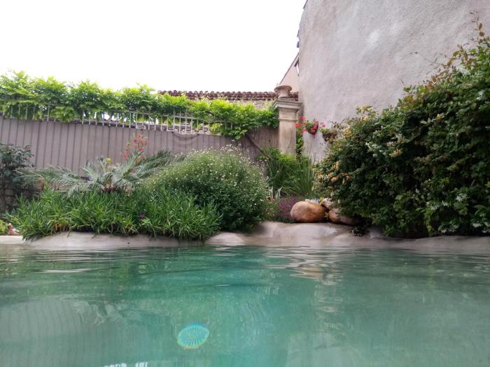 le patio des senteurs