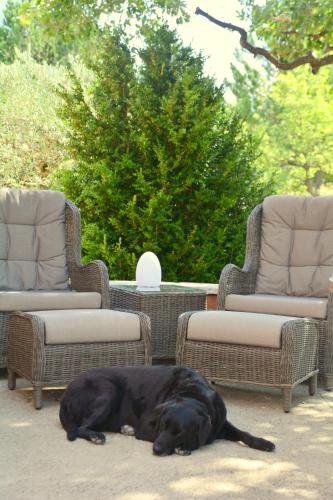 les jardins de lermitage