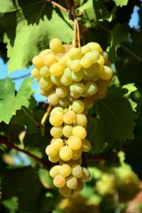 les jardins de lermitage