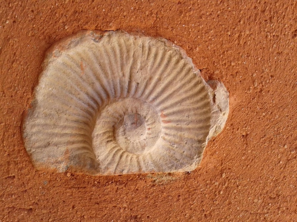 les jardins de lermitage