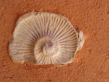 les jardins de lermitage