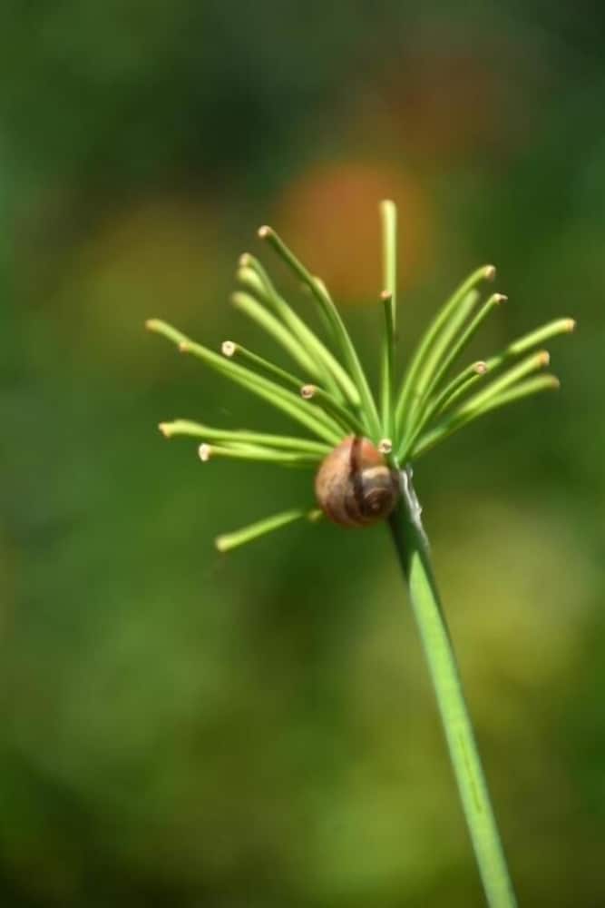 les jardins de lermitage