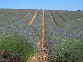 les jardins de lermitage