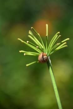 les jardins de lermitage