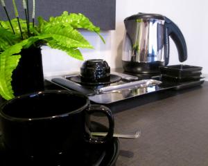 the loft plaza hotel