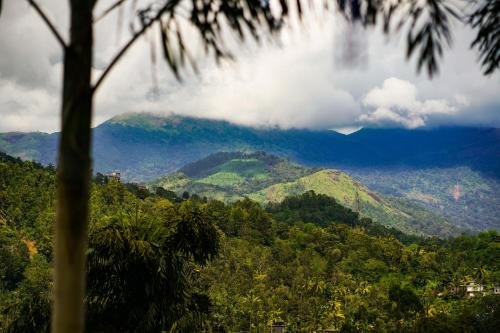 munnar blue mist