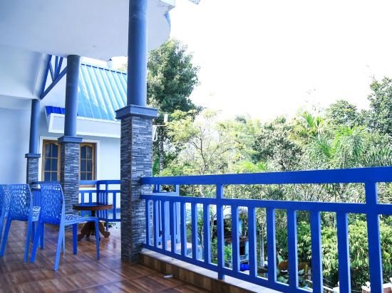 munnar blue mist