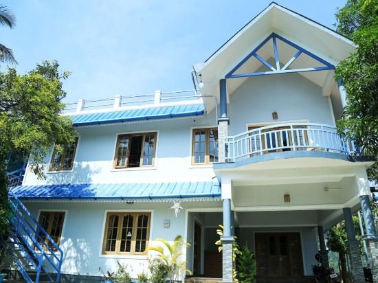munnar blue mist