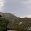 munnar blue mist