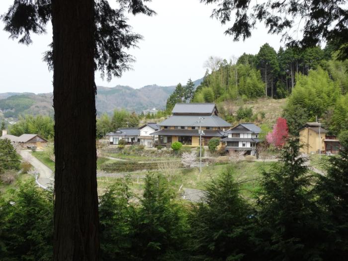 misaki