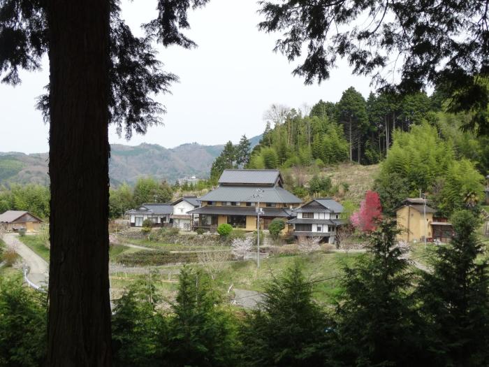 misaki