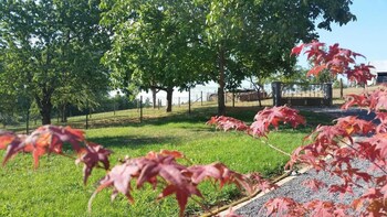 maison dhotes au freidbarry