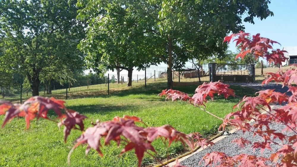 maison dhotes au freidbarry