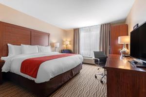 comfort inn and suites