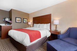 comfort inn and suites