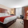 comfort inn and suites