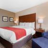 comfort inn and suites