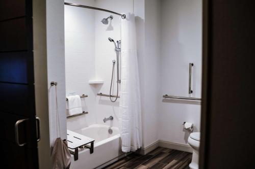 hilton garden inn waco