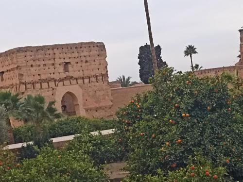 marrakech