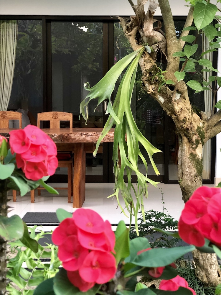 the hidden bali inn