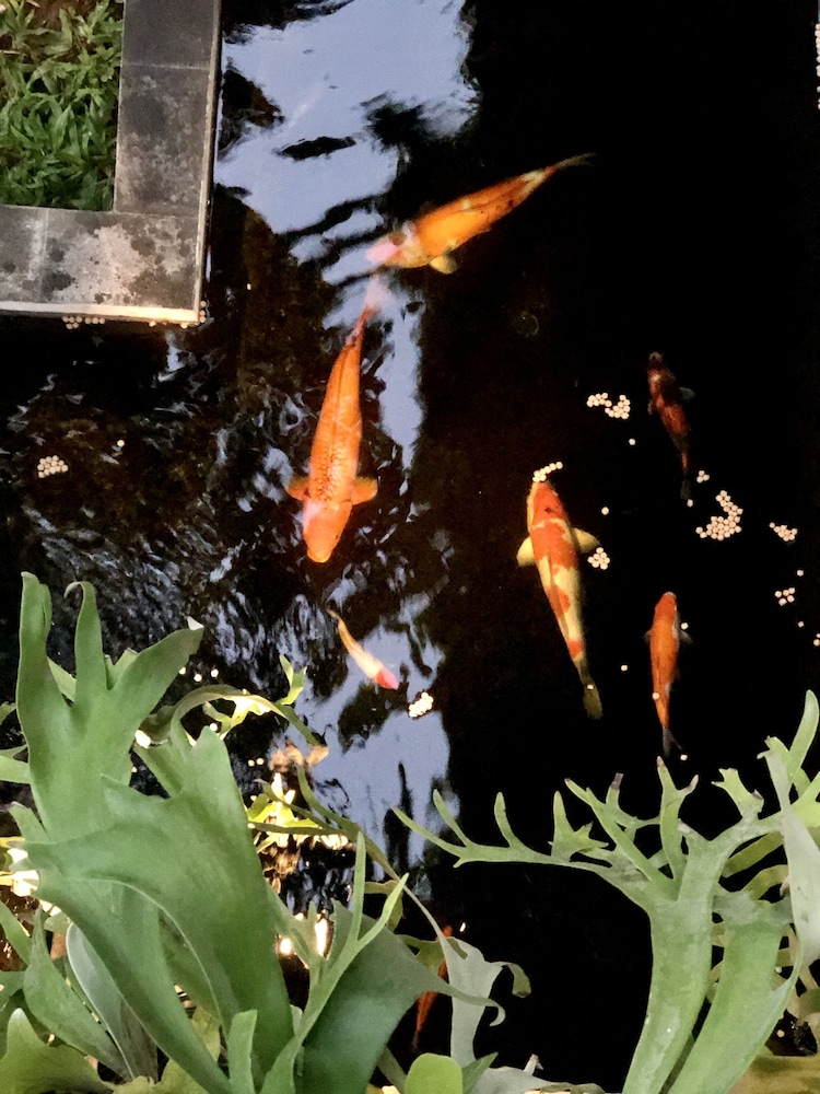the hidden bali inn