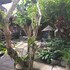 the hidden bali inn