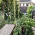 the hidden bali inn