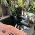 the hidden bali inn
