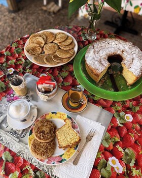 tigrillo bedandbreakfast