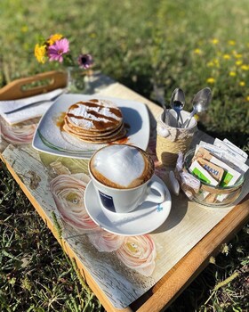 tigrillo bedandbreakfast