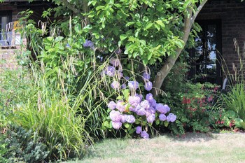 st stephens guest house