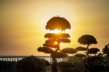 tom hill boutique resort and spa