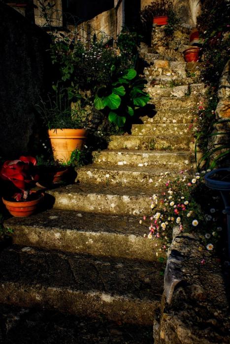 skylark bed and breakfast