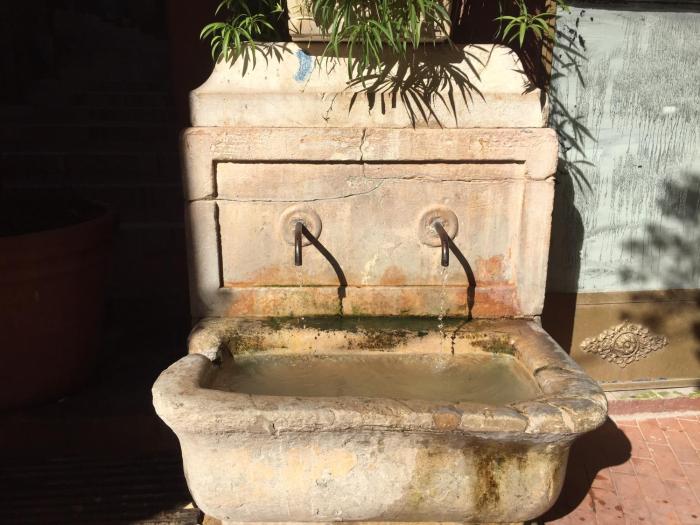 skylark bed and breakfast