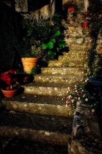 skylark bed and breakfast