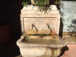 skylark bed and breakfast