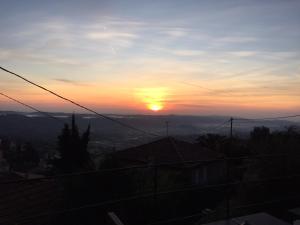 skylark bed and breakfast