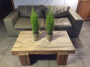 skylark bed and breakfast