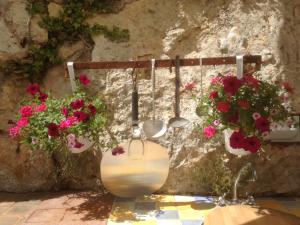 skylark bed and breakfast