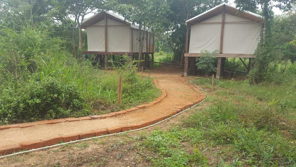 asharo sigiriya villa