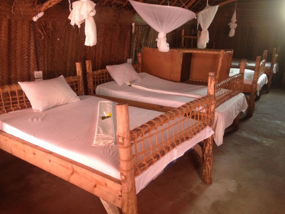 new jambo bungalows hostel