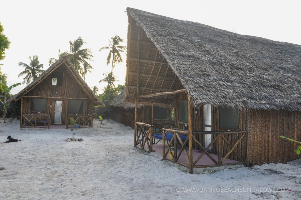 new jambo bungalows hostel